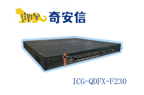 奇安信網康上網行為管理ICG-QDFX-F230