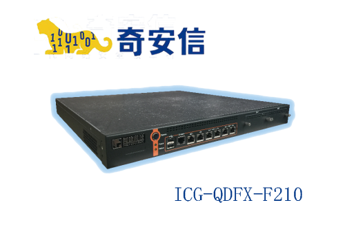 奇安信網康上網行為管理ICG-QDFX-F210