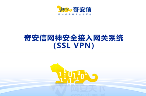 奇安信網神安全接入網關系統(tǒng)（SSL VPN）